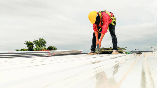 Best Skylight Installation and Repair  in Chandler, TX